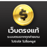 เว็บสล็อตใหม่ล่าสุด
